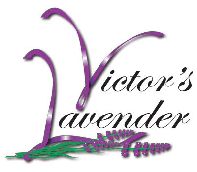 Victor’s Lavender